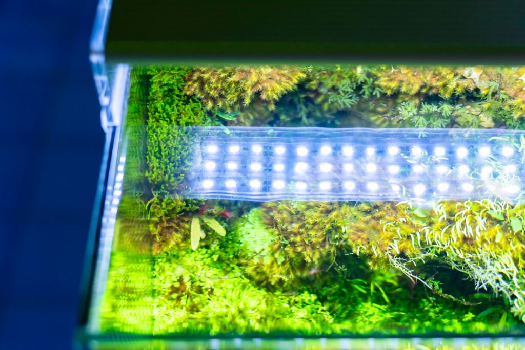 Aquarium Beleuchtung automatisieren